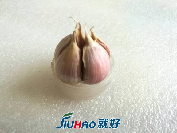 103606jyzhyymzm1rd0dr1.jpg