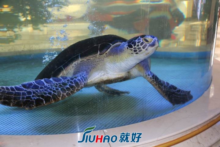 调整大小 IMG_0394.JPG