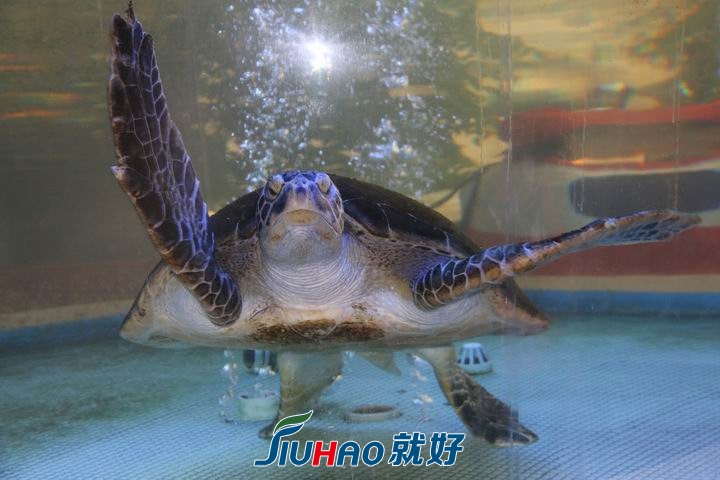 调整大小 IMG_0393.JPG
