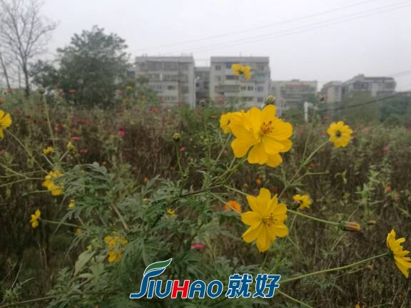 092939lxo7ollnnekkxro1.jpg