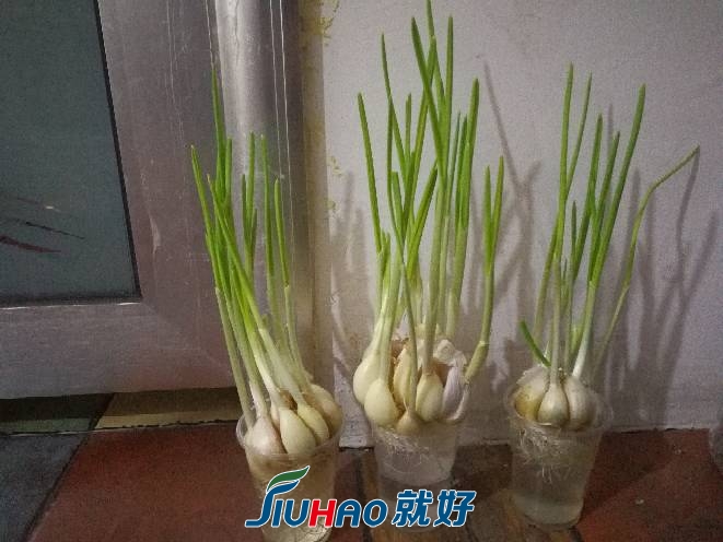 191041fwzmol4los2lb7wb.jpg