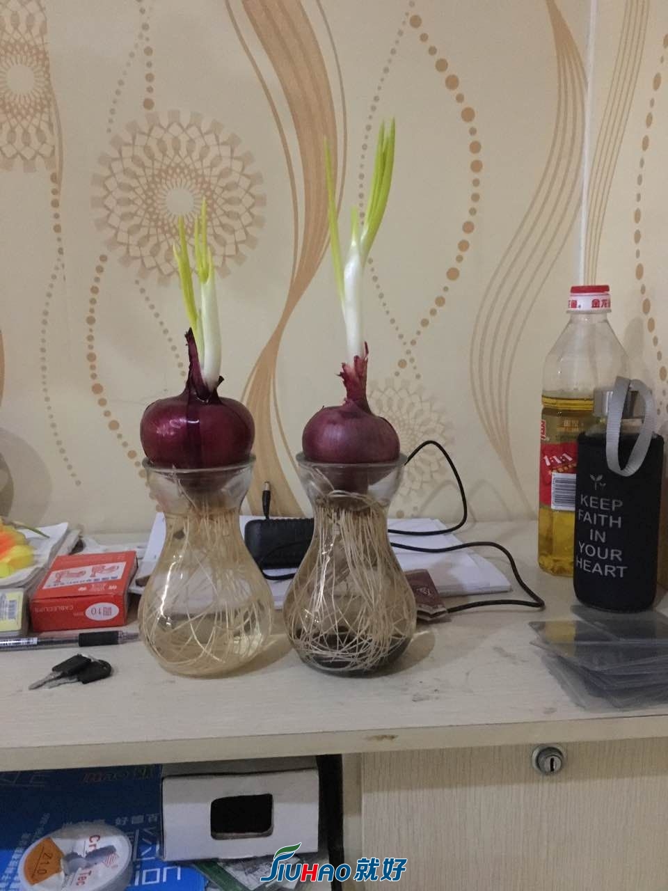 微信图片_201803061555465.jpg
