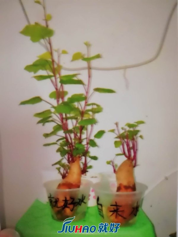 微信图片_201803061555464.jpg